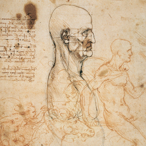 Grid calendar Leonardo da Vinci 2026, 30 x 30 cm