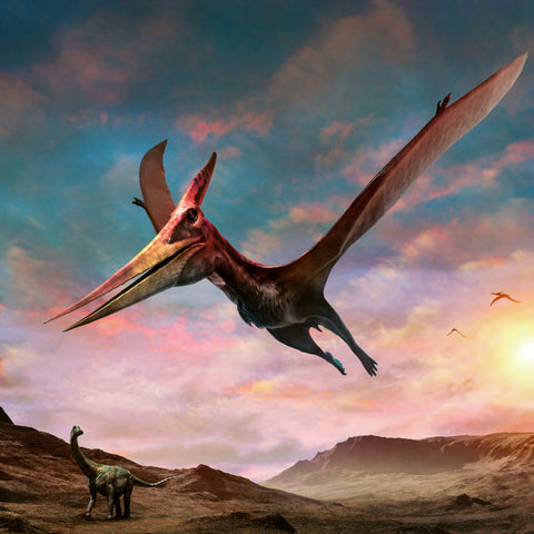 Grid calendar Dinosaurs 2027, 30 x 30 cm