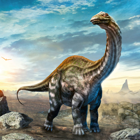 Grid calendar Dinosaurs 2027, 30 x 30 cm