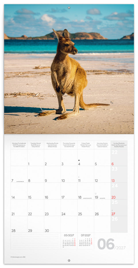 Grid calendar Wild Animals 2027, 30 x 30 cm