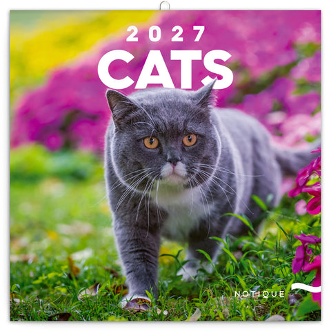 Grid calendar Cats 2027, 30 x 30 cm