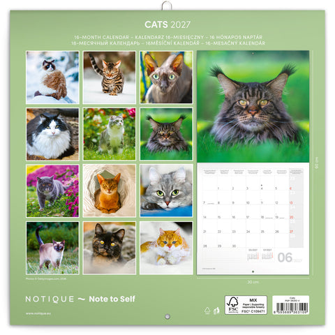 Grid calendar Cats 2027, 30 x 30 cm