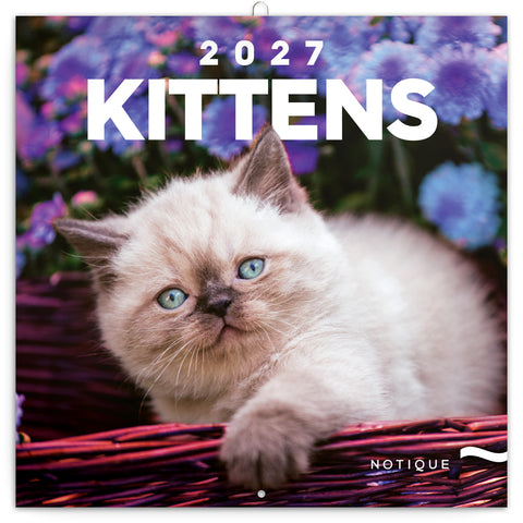 Grid calendar Kittens 2027, 30 x 30 cm