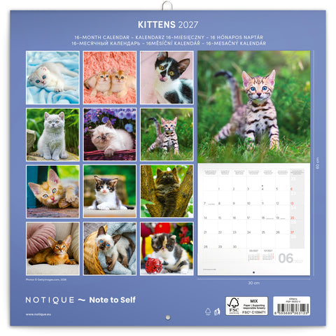 Grid calendar Kittens 2027, 30 x 30 cm