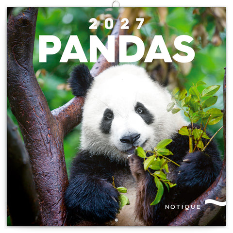 Grid calendar Pandas 2027, 30 x 30 cm