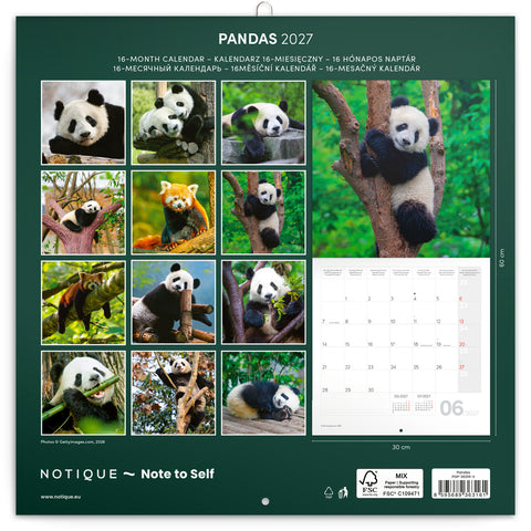 Grid calendar Pandas 2027, 30 x 30 cm