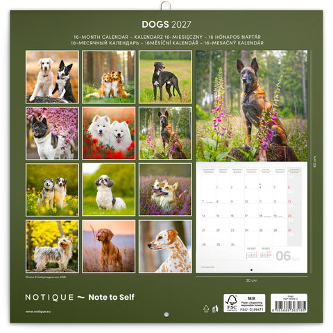 Grid calendar Dogs 2027, 30 x 30 cm