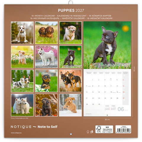 Grid calendar Puppies 2027, 30 x 30 cm