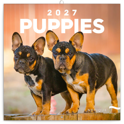 Grid calendar Puppies 2027, 30 x 30 cm