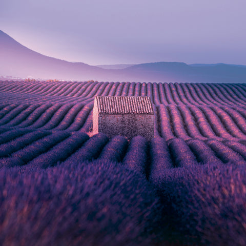 Grid calendar Provence 2027, 30 x 30 cm