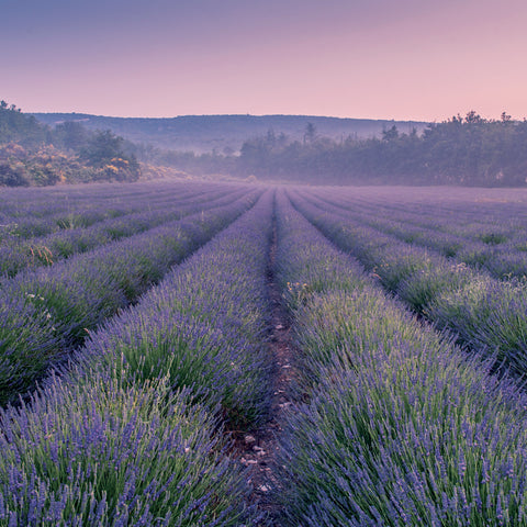 Grid calendar Provence 2027, 30 x 30 cm