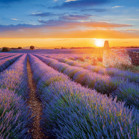 Grid calendar Provence 2027, 30 x 30 cm