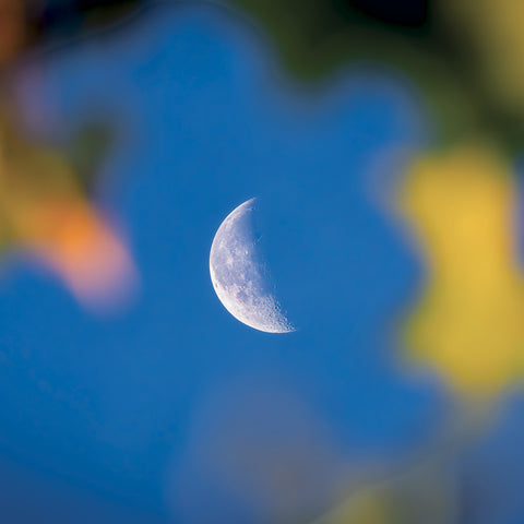 Grid calendar The Moon 2027, 30 x 30 cm