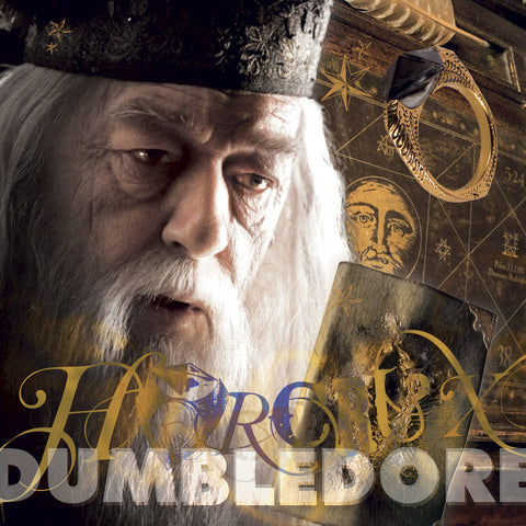 Grid calendar Harry Potter 2027, 30 x 30 cm