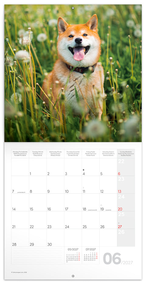 Grid calendar Happy Doge 2027, 30 x 30 cm