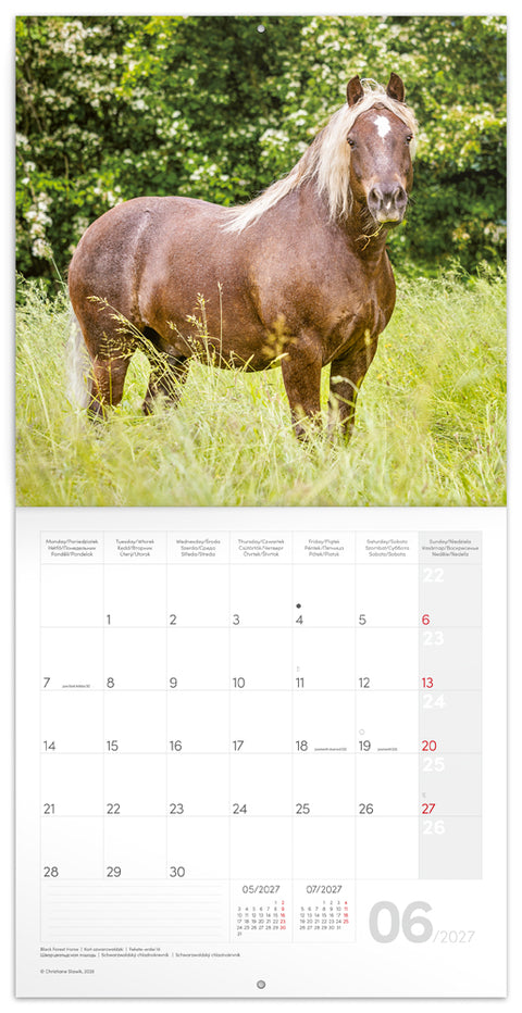 Grid calendar Horses – Christiane Slawik 2027, 30 x 30 cm
