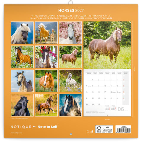 Grid calendar Horses – Christiane Slawik 2027, 30 x 30 cm