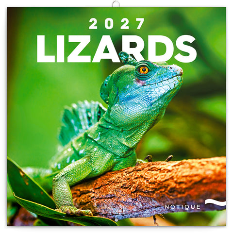 Grid calendar Lizards 2027, 30 x 30 cm
