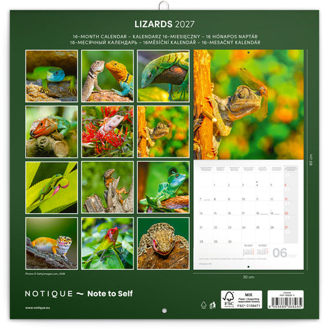 Grid calendar Lizards 2027, 30 x 30 cm