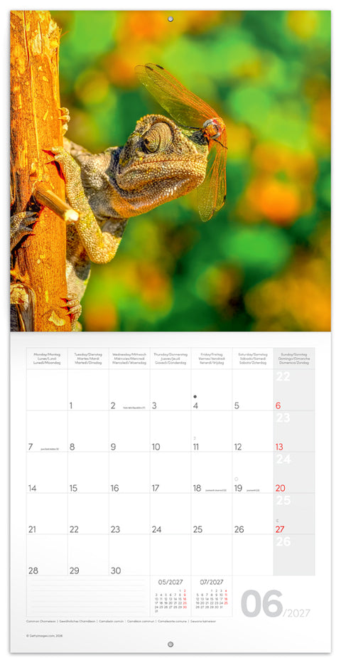 Grid calendar Lizards 2027, 30 x 30 cm