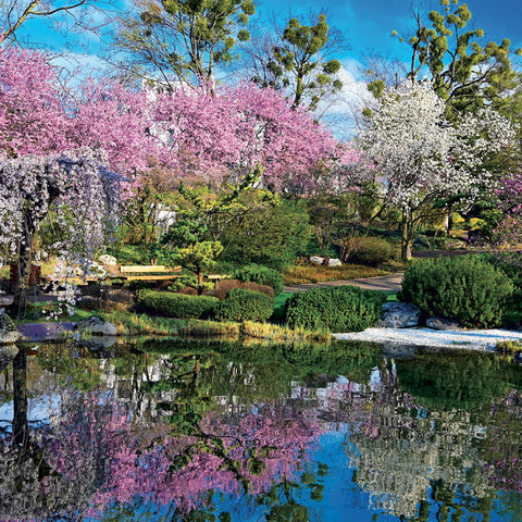 Grid calendar Gardens 2027, 30 x 30 cm