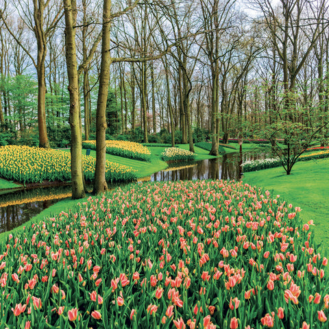 Grid calendar Gardens 2027, 30 x 30 cm