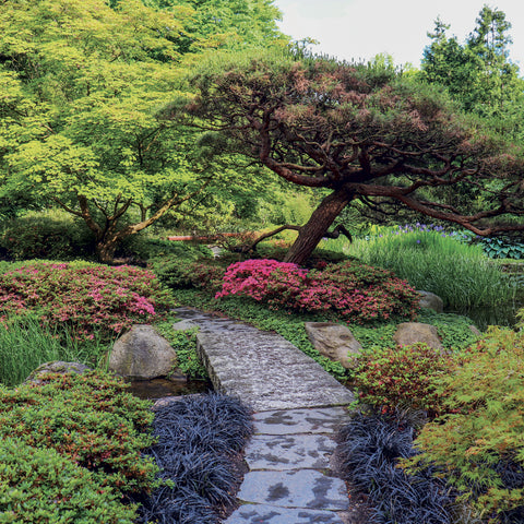 Grid calendar Gardens 2027, 30 x 30 cm