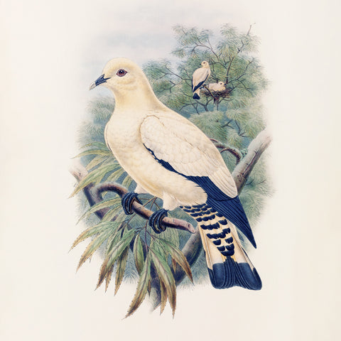 Grid calendar Birds in Art 2027, PLASTIC FREE, 30 x 30 cm