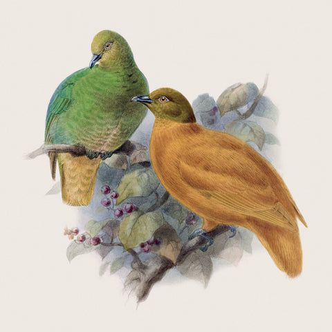 Grid calendar Birds in Art 2027, PLASTIC FREE, 30 x 30 cm