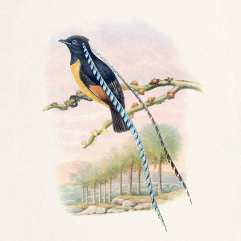 Grid calendar Birds in Art 2027, PLASTIC FREE, 30 x 30 cm