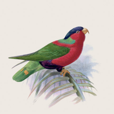 Grid calendar Birds in Art 2027, PLASTIC FREE, 30 x 30 cm