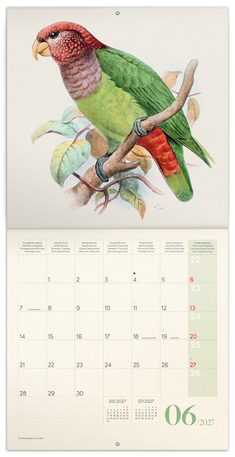 Grid calendar Birds in Art 2027, PLASTIC FREE, 30 x 30 cm