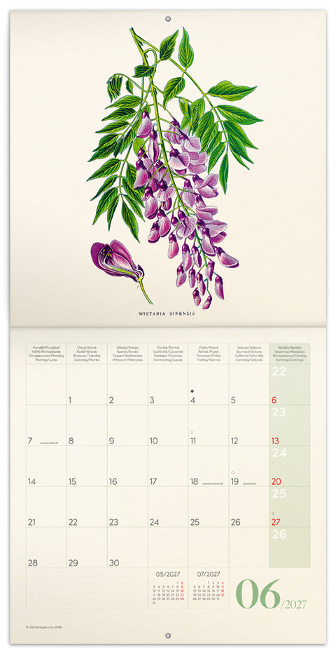Grid calendar Herbarium 2027, PLASTIC FREE, 30 x 30 cm