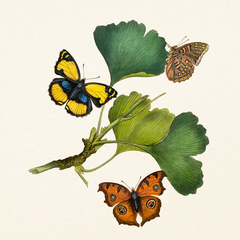 Grid calendar Butterflies 2027, PLASTIC FREE, 30 x 30 cm