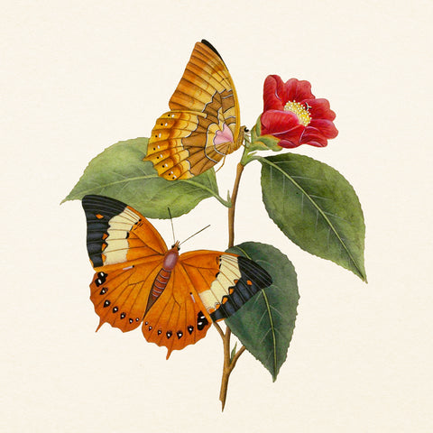 Grid calendar Butterflies 2027, PLASTIC FREE, 30 x 30 cm