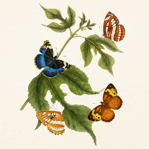 Grid calendar Butterflies 2027, PLASTIC FREE, 30 x 30 cm