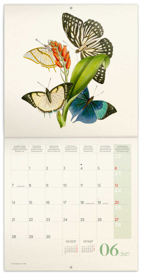 Grid calendar Butterflies 2027, PLASTIC FREE, 30 x 30 cm