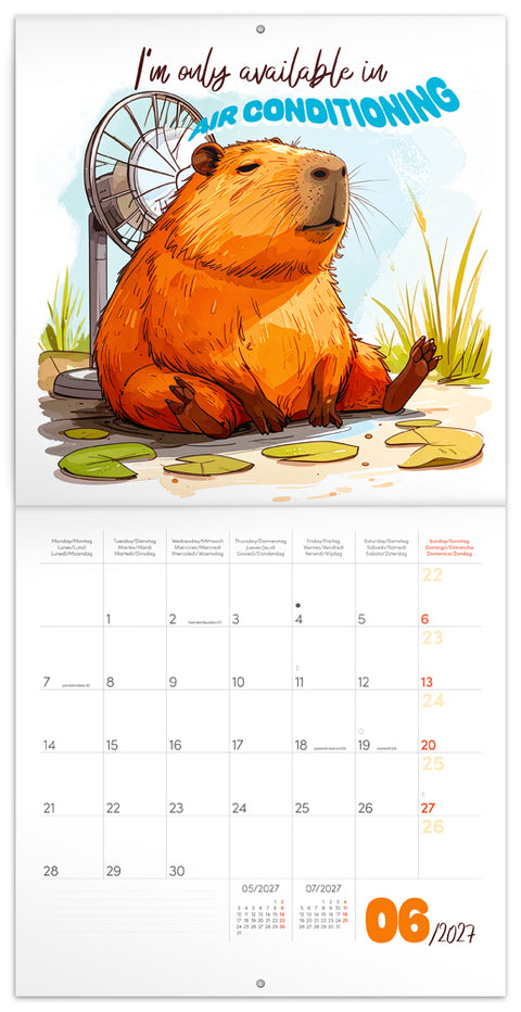 Grid calendar Cheeky Capybaras 2027, 30 x 30 cm