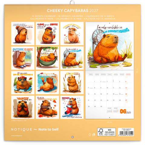 Grid calendar Cheeky Capybaras 2027, 30 x 30 cm